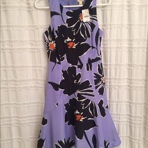 J.Crew Factory Dress